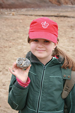 Fossil Hunting - Isle of Wight - Educational School Trips