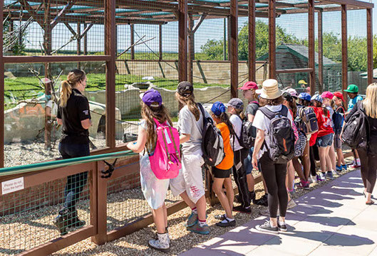 Monkey Haven - Isle of Wight - Educational School Trips